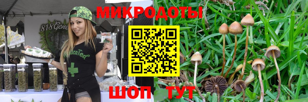 где купить наркоту  Псилоцибиновые грибы мухоморы  Вход с VPN  Красноуфимск 